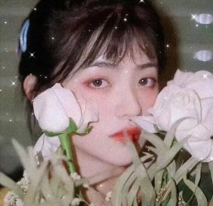 友谊战火